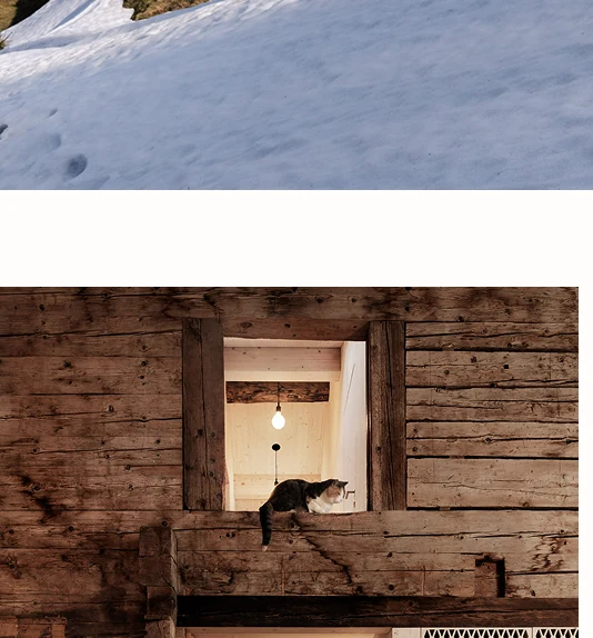 Escalier bois dans un projet rénové